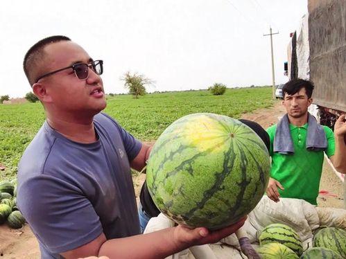 西藏扎西枫丹娱乐吃瓜