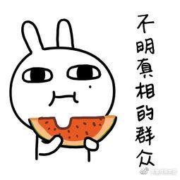 吃瓜文化娱乐,揭秘娱乐圈幕后真相