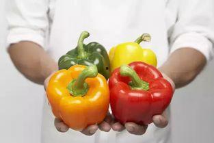 娱乐吃瓜酱燃脂