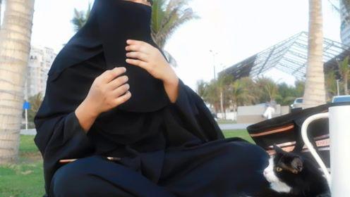 娱乐吃瓜君网红